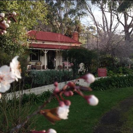 مالدون Sinnamons Cottage المظهر الخارجي الصورة