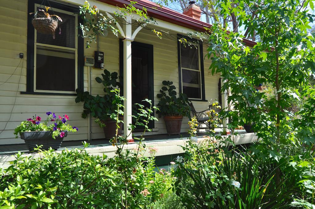 مالدون Sinnamons Cottage المظهر الخارجي الصورة